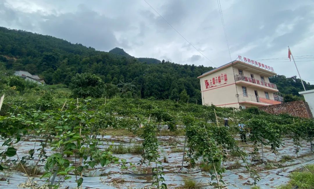 微信圖片_20220908174652 微信圖片_20220908174652